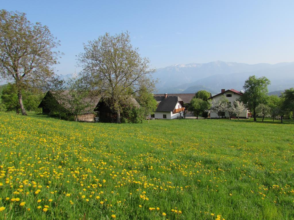 Breitenbaumer Spital Am Pyhrn
