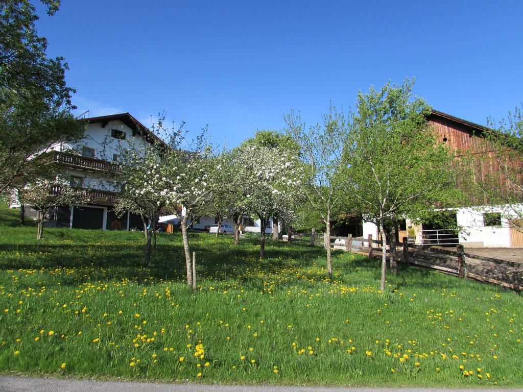 Breitenbaumer Farm stay