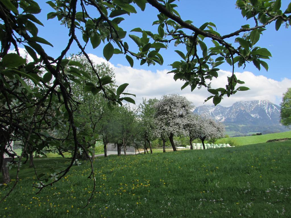 Farm stay Breitenbaumer Spital Am Pyhrn